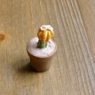 Kaktus (zweifarbig mit weissen Blüten). Handarbeit.