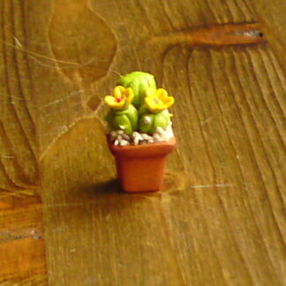 Kaktus mit gelb/oranger Blüte. Reduziert.