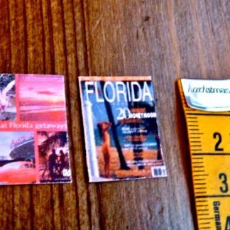 Reisemagazine Florida (Attrappen)